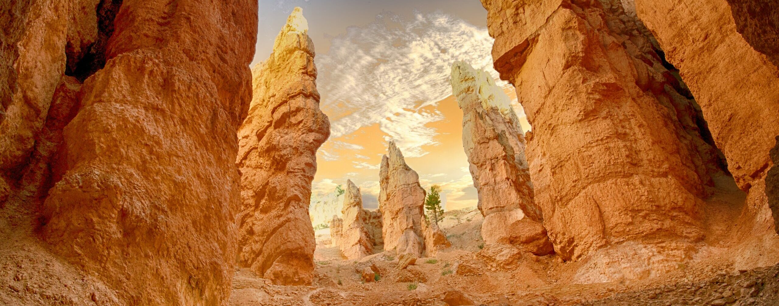 Photography: An Introduction